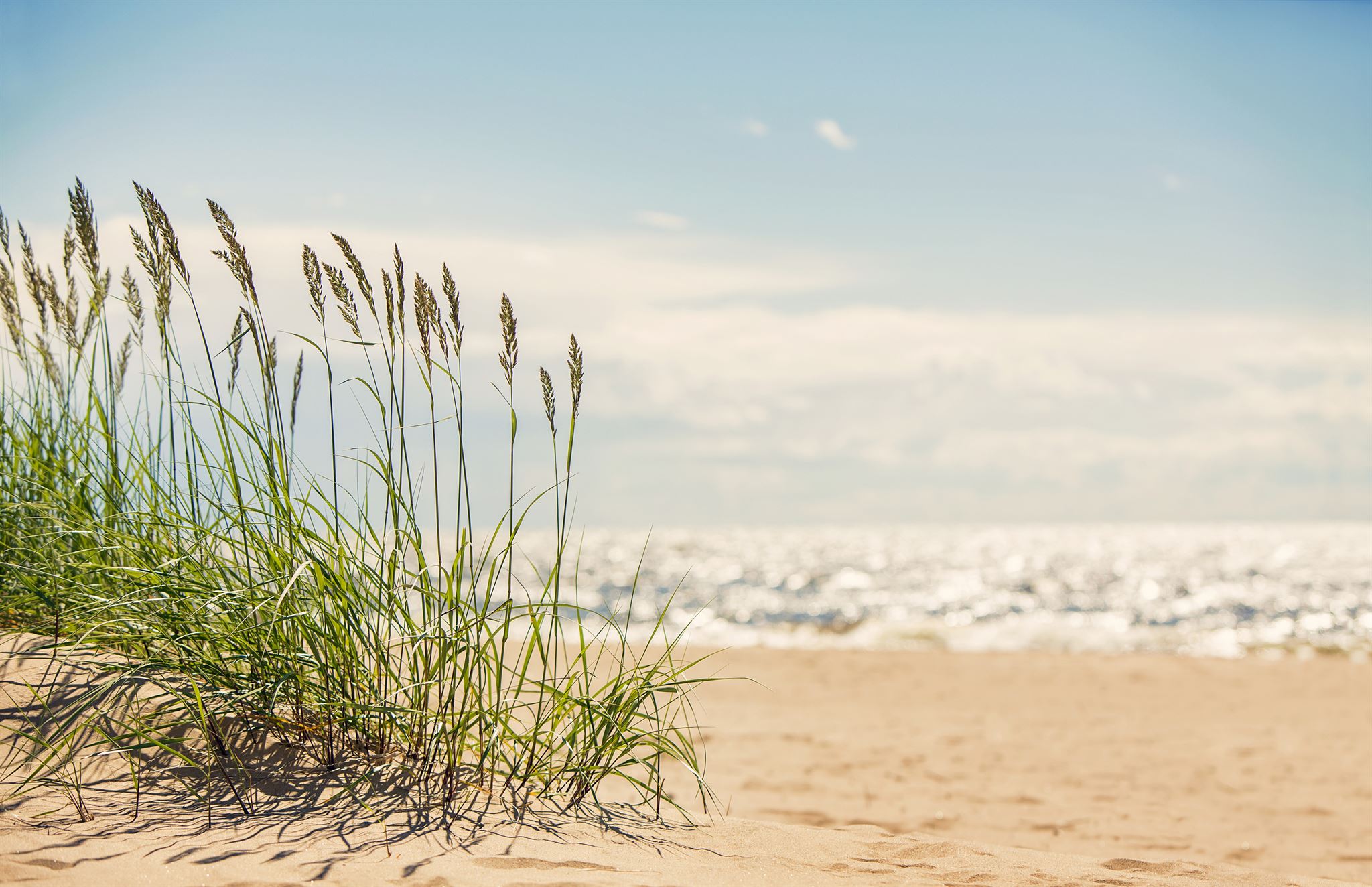 Nantucket beach view